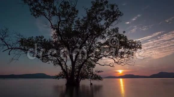 普吉岛美丽的日落海滩全景4k时间流逝泰国视频的预览图