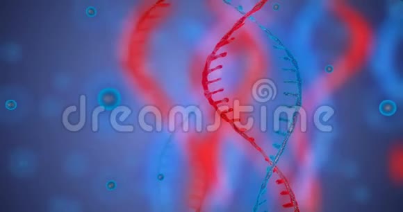 具有景深的抽象闪光DNA双螺旋来自debrises的DNA构建动画科学动画视频的预览图