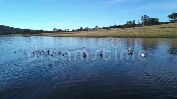 白天昆士兰州莫格拉湖视频的预览图