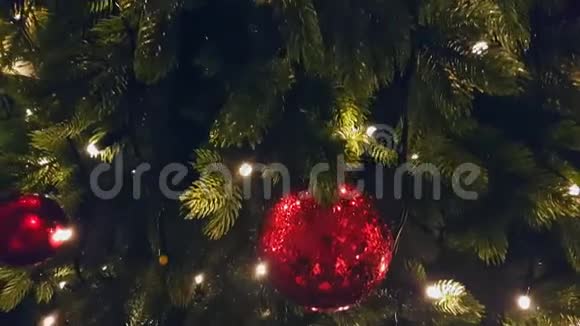 户外市场的圣诞树视频的预览图