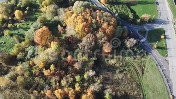 拉托维亚多加瓦河萨库萨拉岛空中无人驾驶飞机俯视图视频的预览图