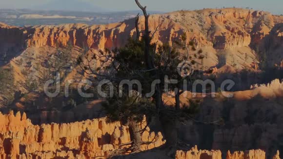 犹他州奇妙的布莱斯峡谷著名的国家公园视频的预览图