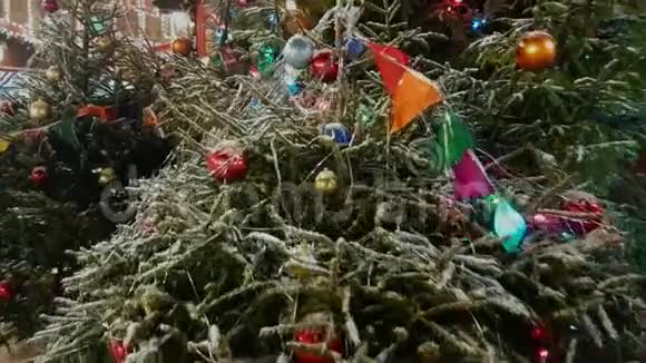 户外市场的圣诞树视频的预览图