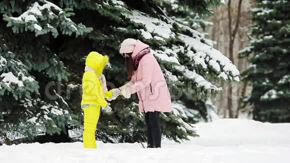家庭在冬天在户外打雪球视频的预览图