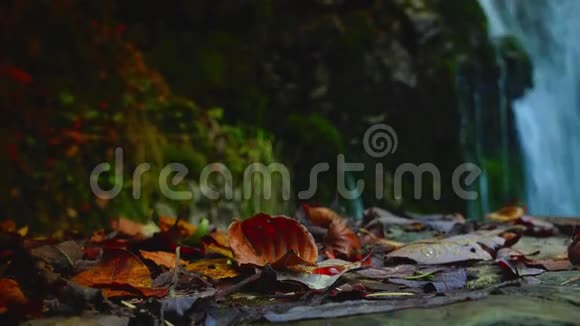 山峦中的风景瀑布秋天森林中的纯净淡水瀑布ULTRAHD4K实时变焦视频的预览图