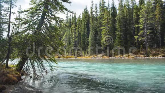 加拿大的一条山河视频的预览图