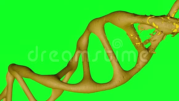 旋转DNA形成通过剥离皮肤与绿色屏幕运动背景视频的预览图