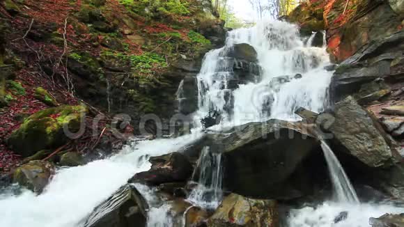 水通过喀尔巴阡山森林茂密的蕨类植物落在岩石上视频的预览图