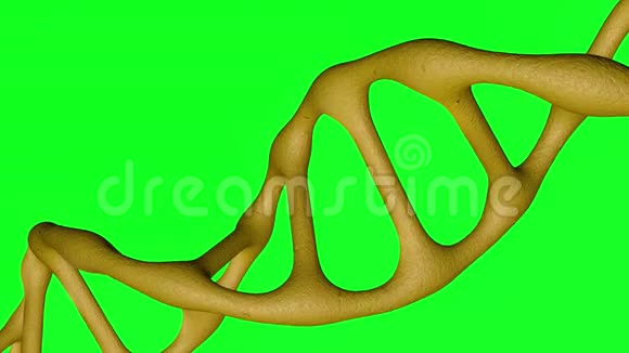 绿色屏幕运动背景下的旋转DNA视频的预览图