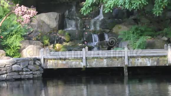 日本茶园视频的预览图