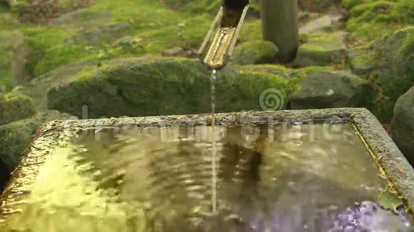 日本茶园视频的预览图