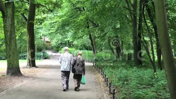 在波兰的沃克劳市公共公园的娱乐时间视频的预览图