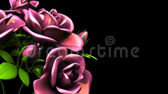 黑色文字空间的粉色玫瑰花束视频的预览图