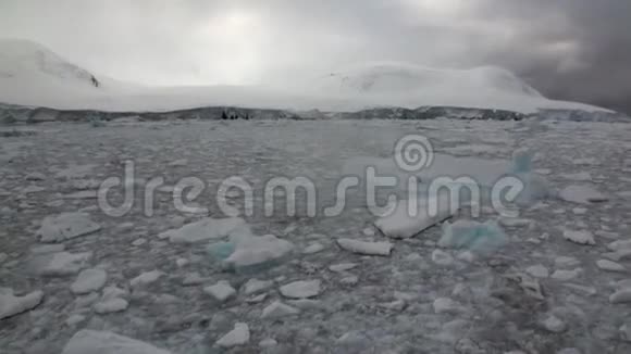 南极洲海洋中的冰川冰山和雪海岸线视频的预览图