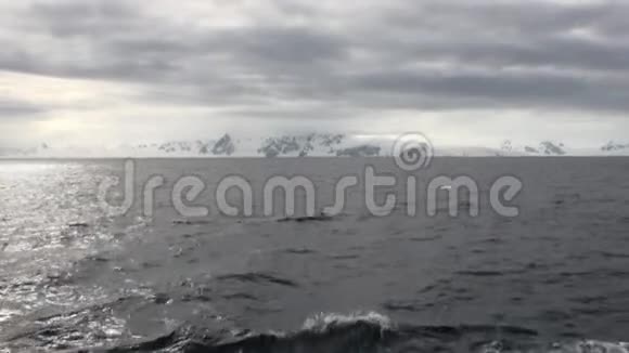 南极洲海洋中的冰雪运动和雪岸线视频的预览图