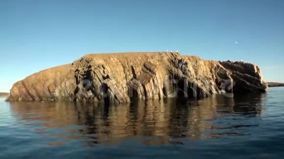 新地球北冰洋水面间的石岩视频的预览图