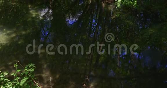 绿色Krka河视频的预览图
