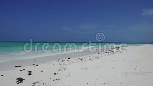 坦桑尼亚桑给巴尔印度洋海岸海滩视频的预览图