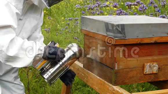 养蜂人使用蜜蜂吸烟者视频的预览图