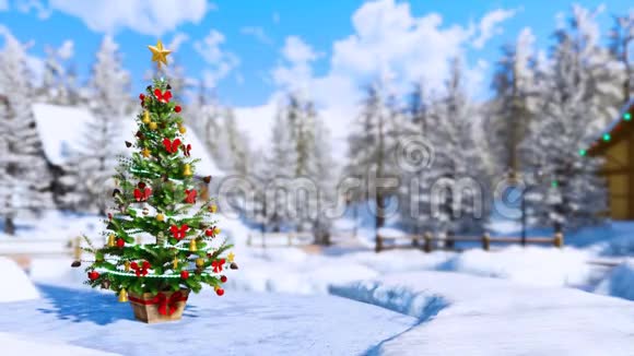 冬季背景模糊的室外圣诞树视频的预览图