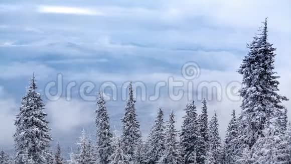 美丽的冬季景观白雪覆盖的树木冬天的山视频的预览图