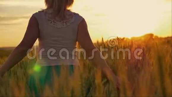 日落时分女孩在麦田里奔跑视频的预览图