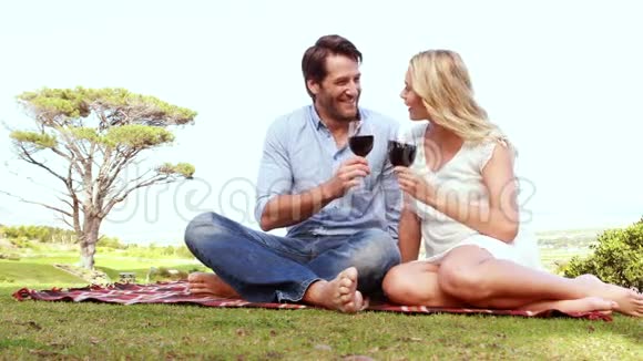 快乐的一对夫妇品尝红酒视频的预览图