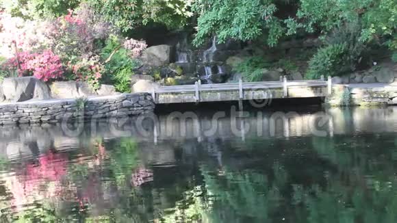 水晶泉杜鹃园视频的预览图
