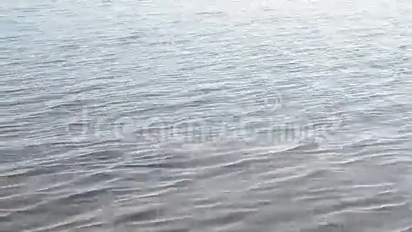 浪在湖水上视频的预览图