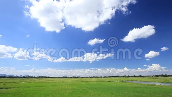 蓝天白云的草地视频的预览图