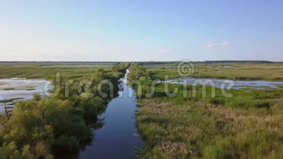 多瑙河三角洲湿地鸟瞰图视频的预览图