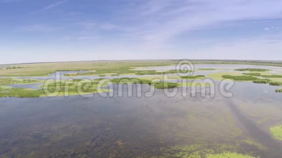 多瑙河三角洲湿地鸟瞰图视频的预览图