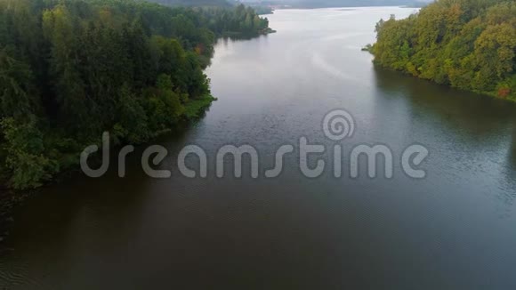 清晨在雾蒙蒙的湖面上飞翔视频的预览图