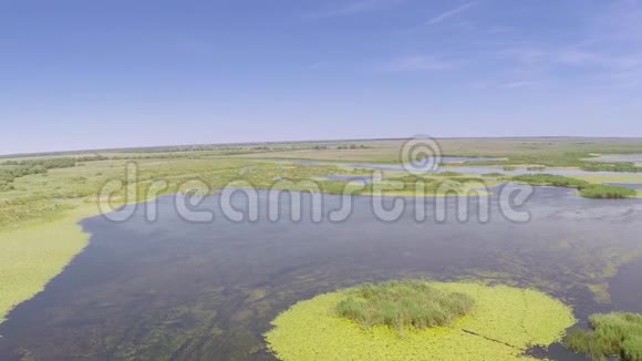 多瑙河三角洲湿地鸟瞰图视频的预览图