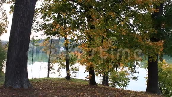秋天森林里美丽的湖视频的预览图