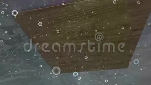 棋盘漂浮在水面上然后淹死视频的预览图