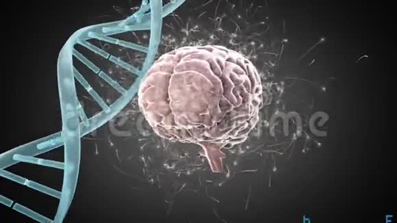 数字脑和DNA螺旋视频的预览图