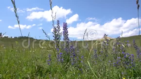 黄绿色的小山和云的天空野草视频的预览图