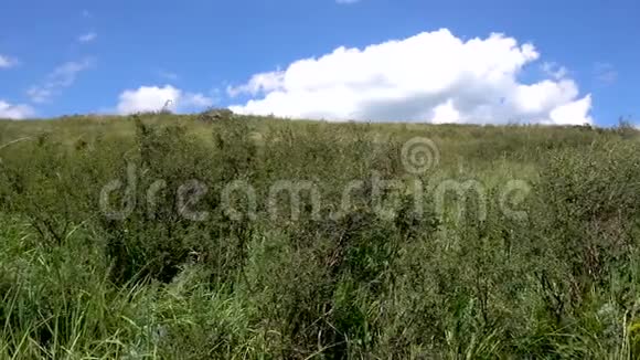黄绿色的小山和云的天空野草视频的预览图