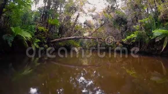 马达加斯加马索拉国家公园景观视频的预览图