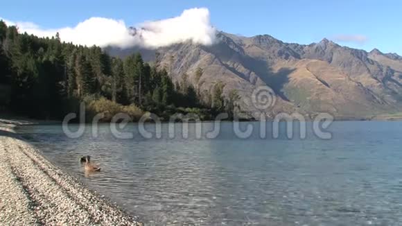 西海岸南岛新西兰视频的预览图