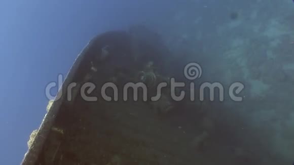 独特的拍摄萨勒姆快速沉船水下在红海在埃及视频的预览图