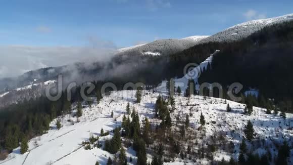 4K飞行乌克兰上空冬林鸟瞰视频的预览图