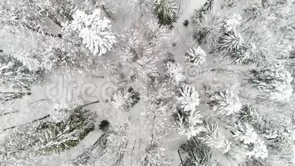 4K飞行乌克兰上空冬林鸟瞰视频的预览图