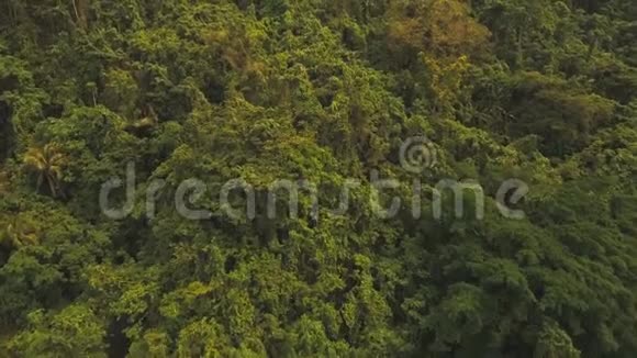 带热带森林的山脉菲律宾卡坦杜安岛视频的预览图