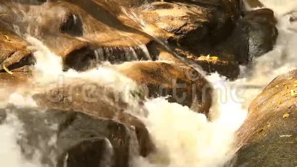 泰国清迈森林瀑布视频的预览图