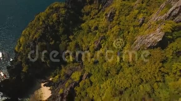海景有森林的海洋悬崖空中观景视频的预览图