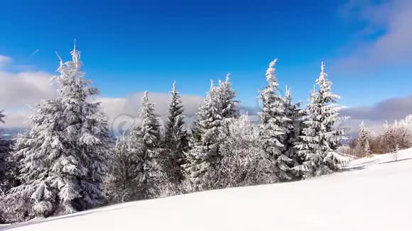 冬山景观高刺和雪视频的预览图