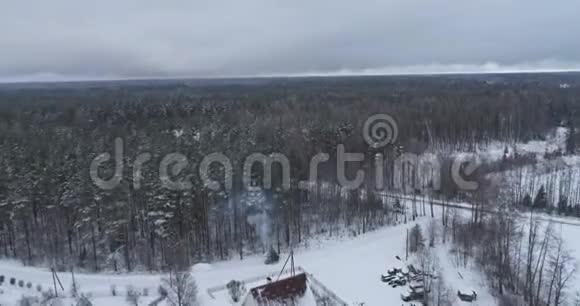 雪中冻树的空中镜头下雪了自然景观视频的预览图