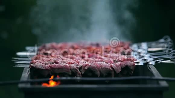 在火上烹调的美味肉视频的预览图